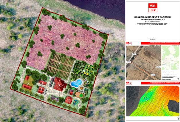 Выращивание иван-чая